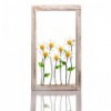 frame with daisy